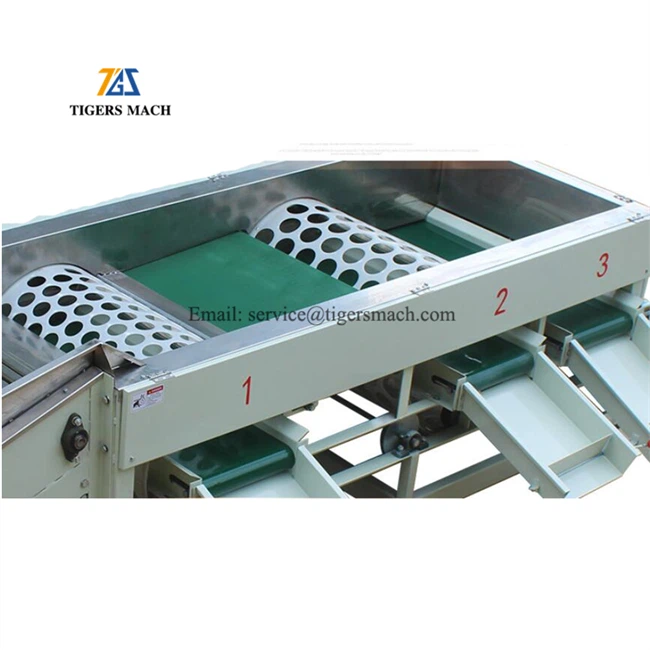 Potato Size Grader Machine
